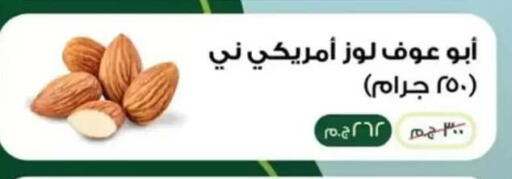 in Egypt - القاهرة