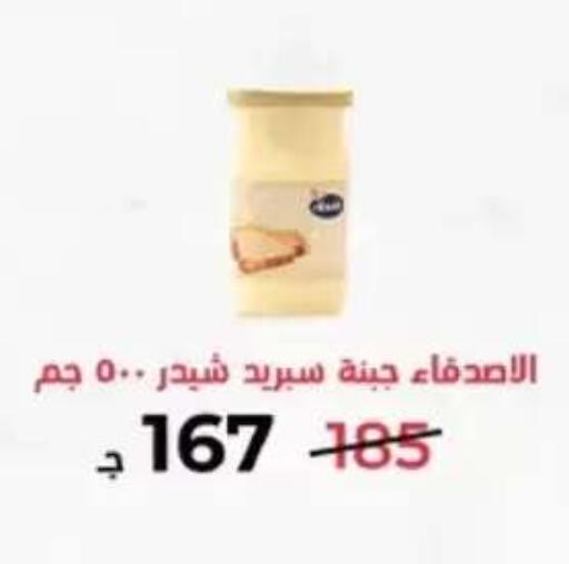 in Egypt - القاهرة