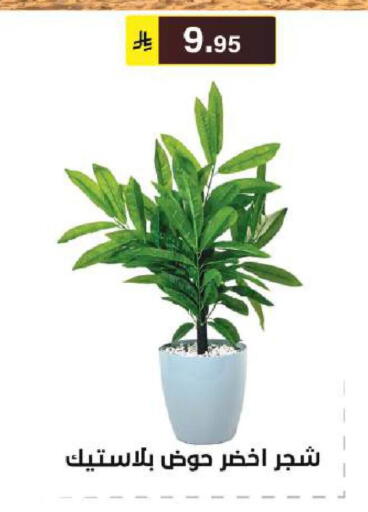 available at الحسين توب أب in مملكة العربية السعودية, السعودية, سعودية - الرياض