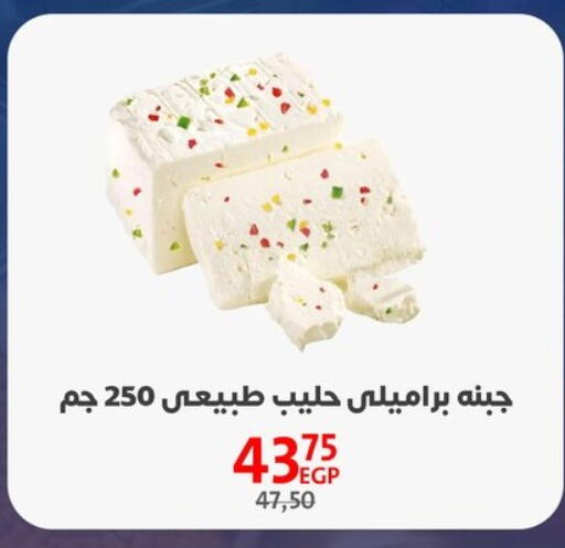 available at Arab DownTown in Egypt - Cairo