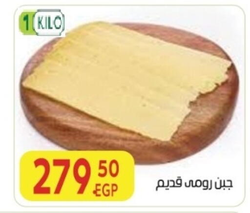 available at المحلاوي ماركت in Egypt - القاهرة