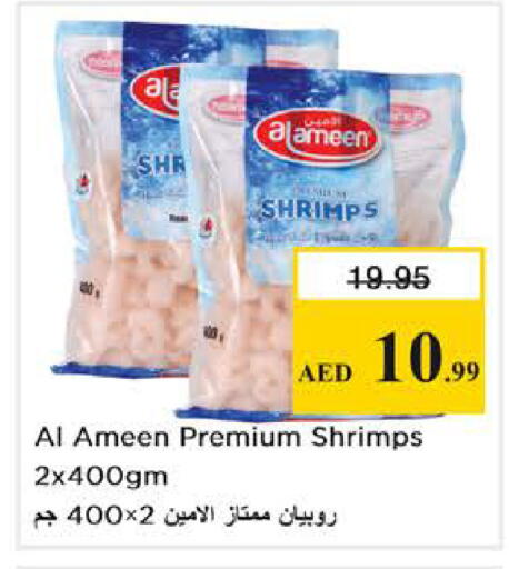 available at نستو هايبرماركت in الإمارات العربية المتحدة , الامارات - أبو ظبي