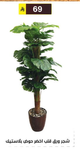 available at الحسين توب أب in مملكة العربية السعودية, السعودية, سعودية - الرياض