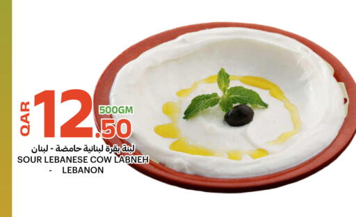 available at البلدي اليوم in قطر - الشحانية