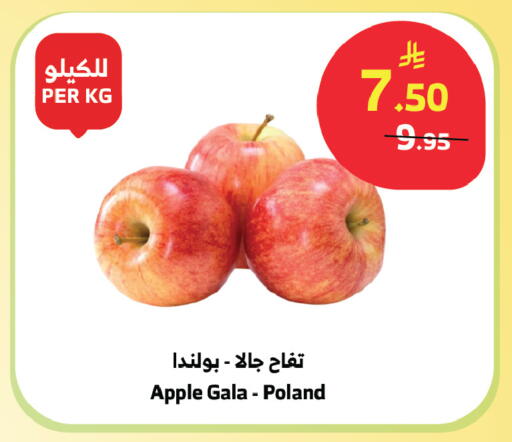 Apple from Poland available at الراية in مملكة العربية السعودية, السعودية, سعودية - الطائف