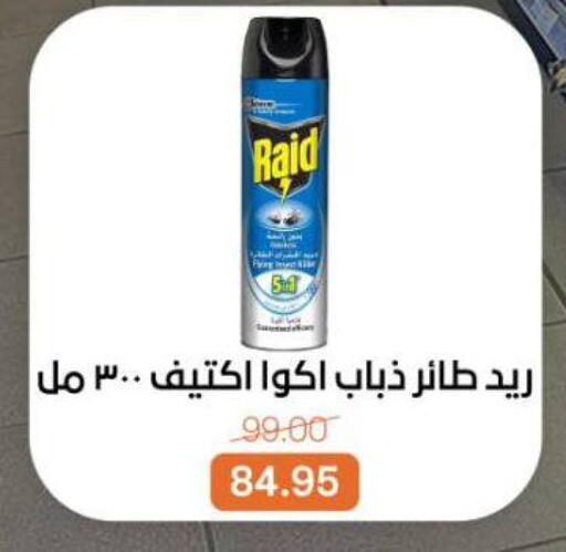 available at بيت الجملة in Egypt - القاهرة