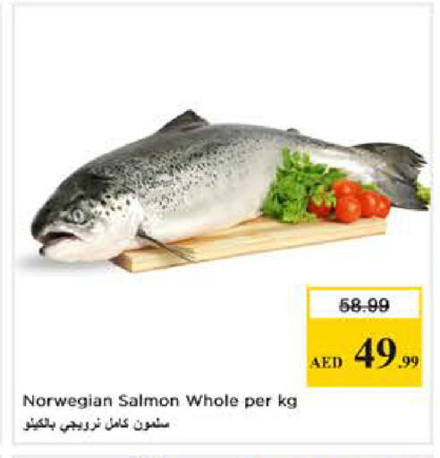 available at Nesto Hypermarket in UAE - Abu Dhabi