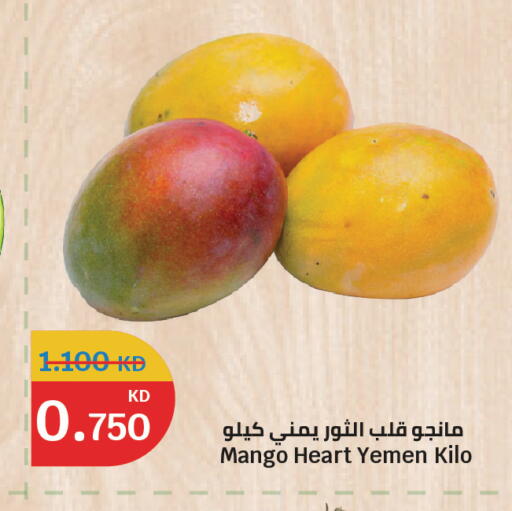 Mango from Yemen available at سيتي هايبرماركت in الكويت - محافظة الجهراء