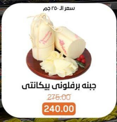 available at بيت الجملة in Egypt - القاهرة