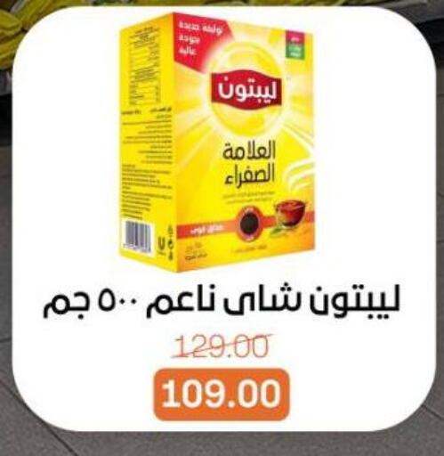 available at بيت الجملة in Egypt - القاهرة