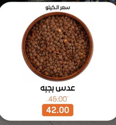 available at بيت الجملة in Egypt - القاهرة