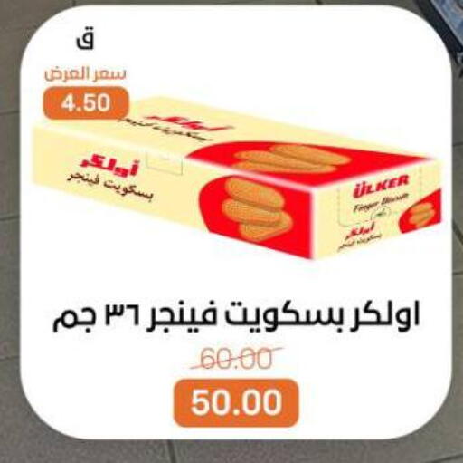 available at بيت الجملة in Egypt - القاهرة