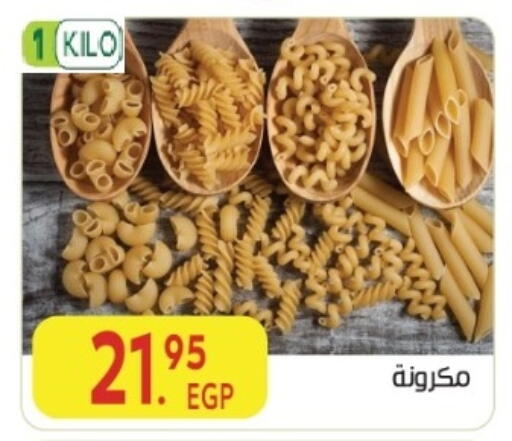 available at المحلاوي ماركت in Egypt - القاهرة