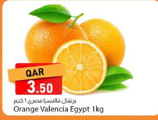 Orange from Egypt available at Dana Market in Qatar - Al-Shahaniya