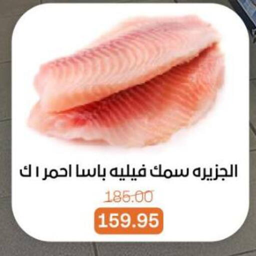 available at Beit El Gomla in Egypt - Cairo