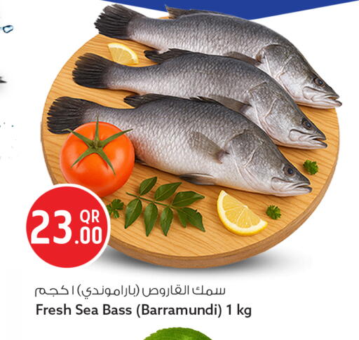available at سفاري هايبر ماركت in قطر - الريان