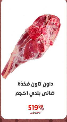available at Arab DownTown in Egypt - Cairo