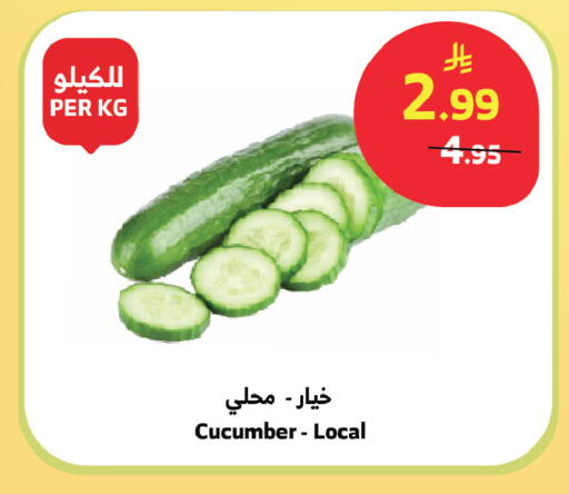 Cucumber available at الراية in مملكة العربية السعودية, السعودية, سعودية - الباحة
