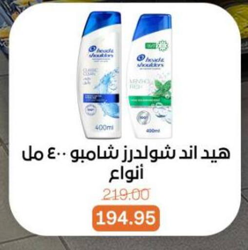 available at بيت الجملة in Egypt - القاهرة