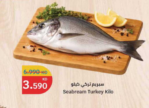 available at سيتي هايبرماركت in الكويت - مدينة الكويت