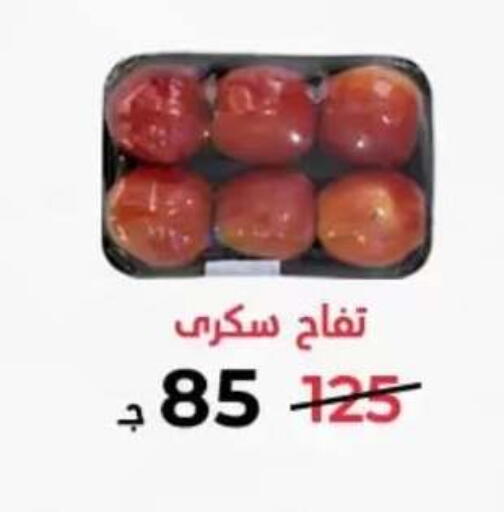 in Egypt - القاهرة