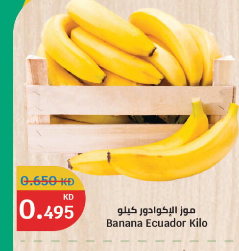 Banana from Ecuador available at سيتي هايبرماركت in الكويت - محافظة الجهراء