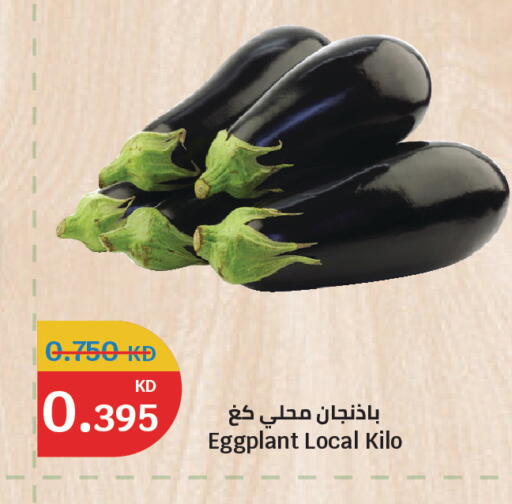 Eggplant available at سيتي هايبرماركت in الكويت - محافظة الجهراء