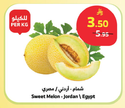 Melon from Jordan Egypt available at الراية in مملكة العربية السعودية, السعودية, سعودية - الطائف