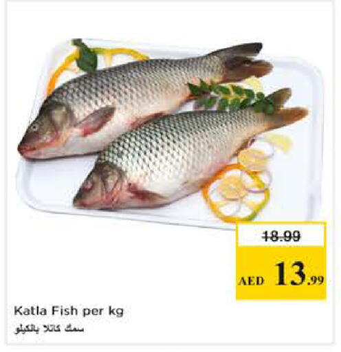 available at Nesto Hypermarket in UAE - Abu Dhabi