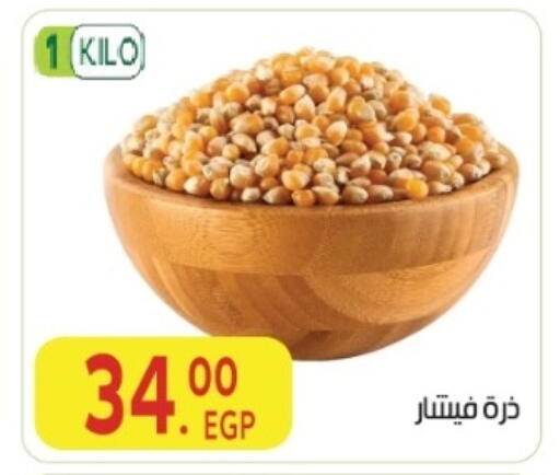 available at المحلاوي ماركت in Egypt - القاهرة