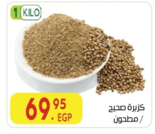 available at المحلاوي ماركت in Egypt - القاهرة