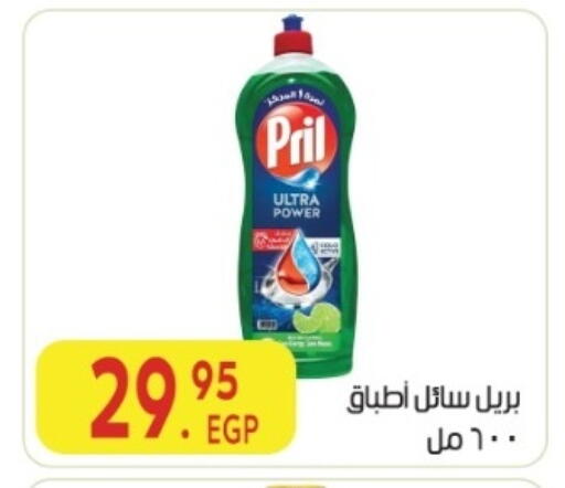 available at المحلاوي ماركت in Egypt - القاهرة