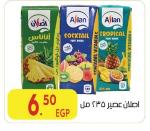 available at المحلاوي ماركت in Egypt - القاهرة