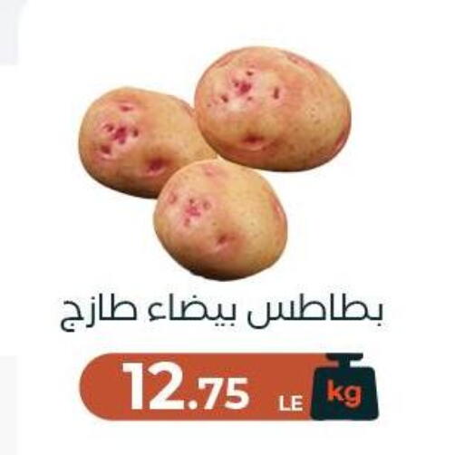 available at عرفة ماركت in Egypt - القاهرة