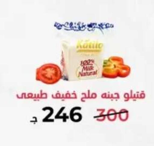 in Egypt - القاهرة