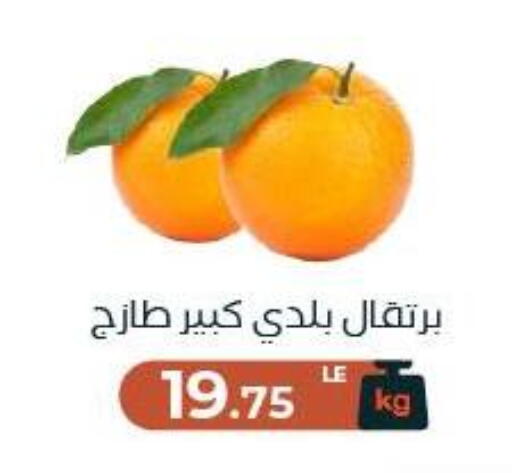 available at عرفة ماركت in Egypt - القاهرة