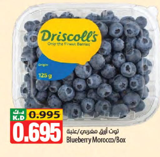 Blueberry BlueBerry Mango from Morocco available at Mango Hypermarket  in Kuwait - Jahra Governorate