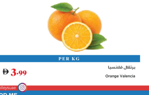 Orange available at تروليز سوبرماركت in الإمارات العربية المتحدة , الامارات - دبي
