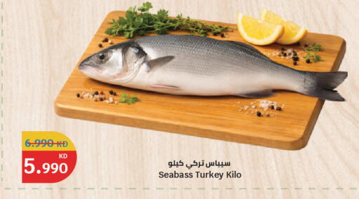 available at سيتي هايبرماركت in الكويت - محافظة الجهراء