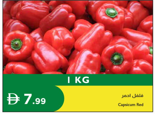 Capsicum available at إسطنبول سوبرماركت in الإمارات العربية المتحدة , الامارات - دبي