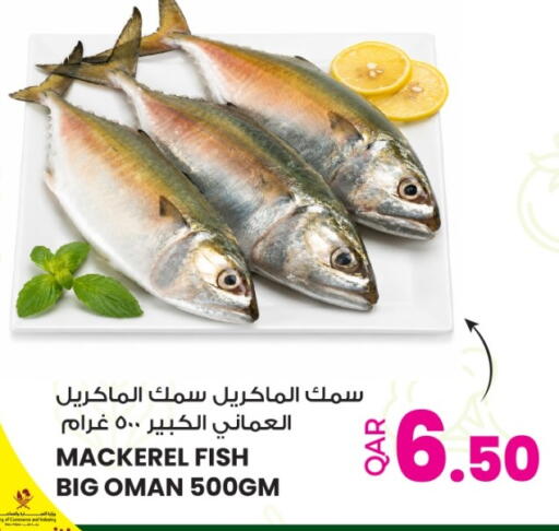 available at أنصار جاليري in قطر - الريان