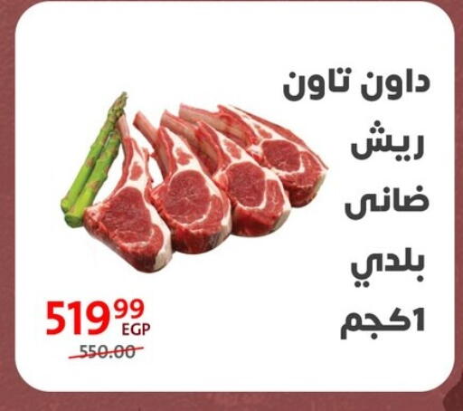 available at Arab DownTown in Egypt - Cairo