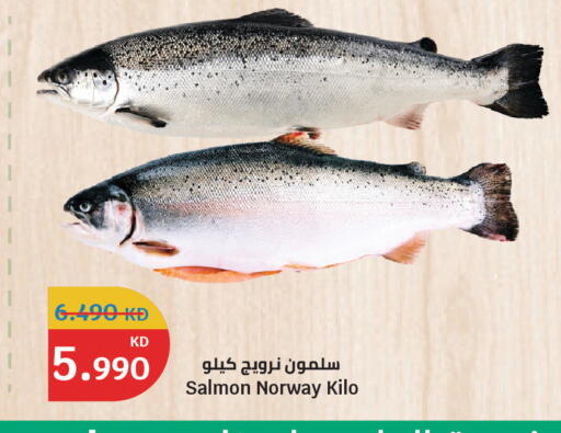 available at سيتي هايبرماركت in الكويت - محافظة الجهراء