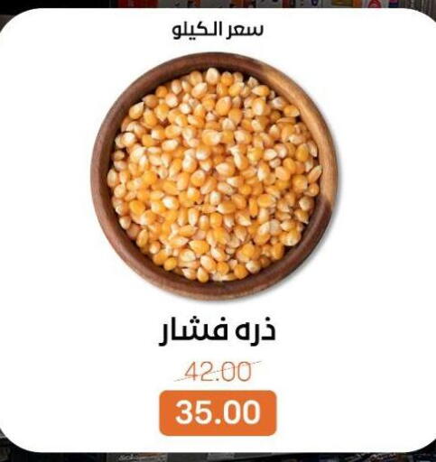 available at بيت الجملة in Egypt - القاهرة
