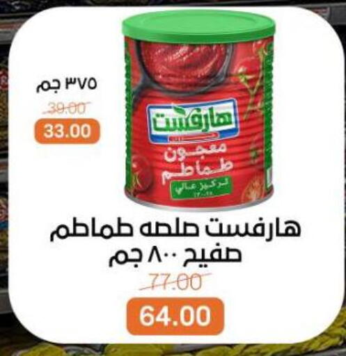 available at بيت الجملة in Egypt - القاهرة