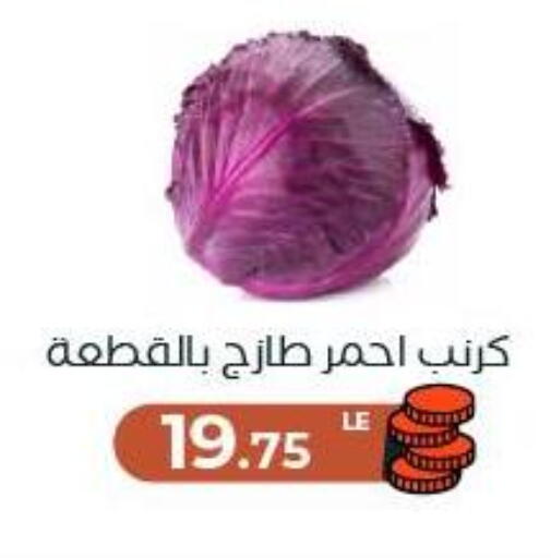 available at عرفة ماركت in Egypt - القاهرة