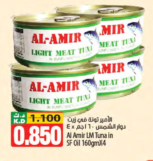 Mango available at Mango Hypermarket  in Kuwait - Jahra Governorate