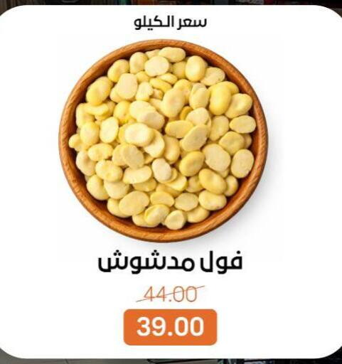 available at بيت الجملة in Egypt - القاهرة