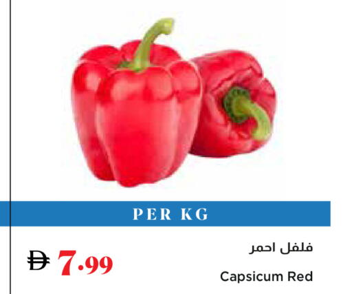Capsicum available at تروليز سوبرماركت in الإمارات العربية المتحدة , الامارات - دبي
