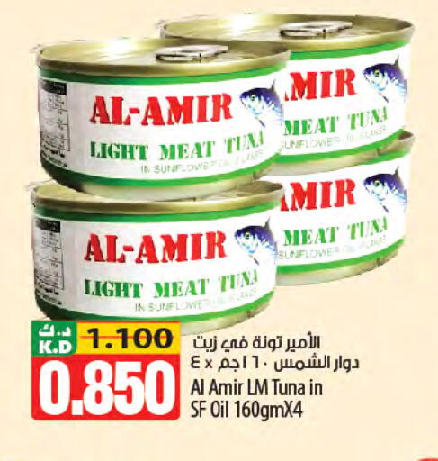 Mango available at Mango Hypermarket  in Kuwait - Jahra Governorate